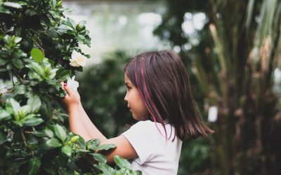 Teaching Kids About Poisonous Plants