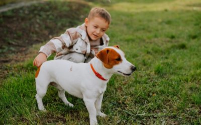 Teaching Children to Stay Away from Wild Animals and Avoid Unfamiliar Pets